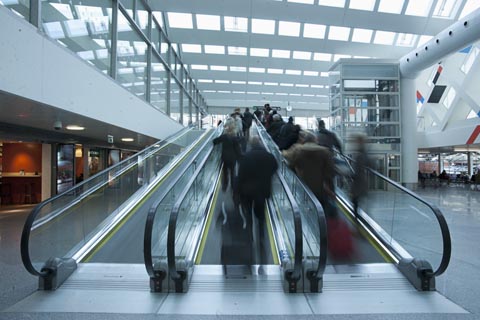 �����������в���